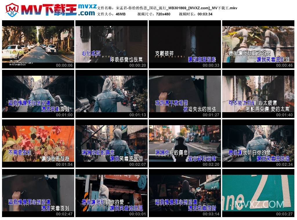 宋孟君-你给的伤悲_国语_流行_MB301869